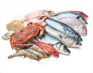 Raw Fish & Seafood